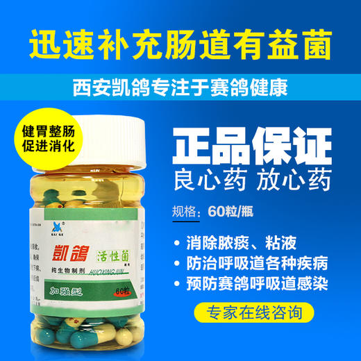 【活性菌】胶囊60粒，健胃整肠,效果好，促进消化吸收（凯鸽） 商品图0