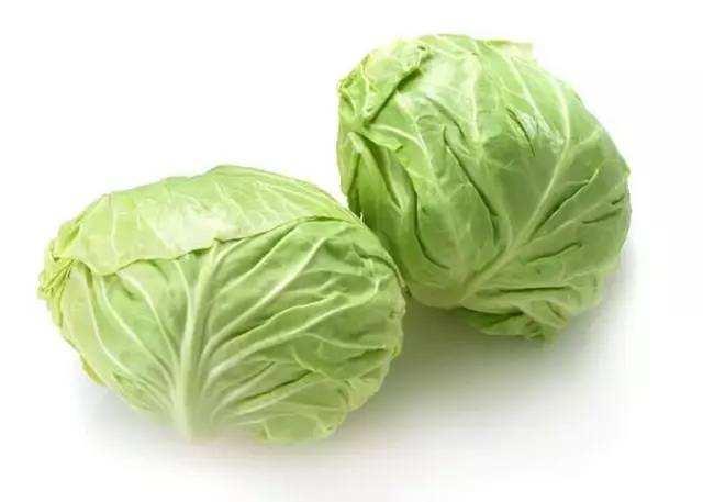 甘蓝（卷心菜）