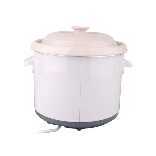 EGSC250 True-love电炖锅 商品图3