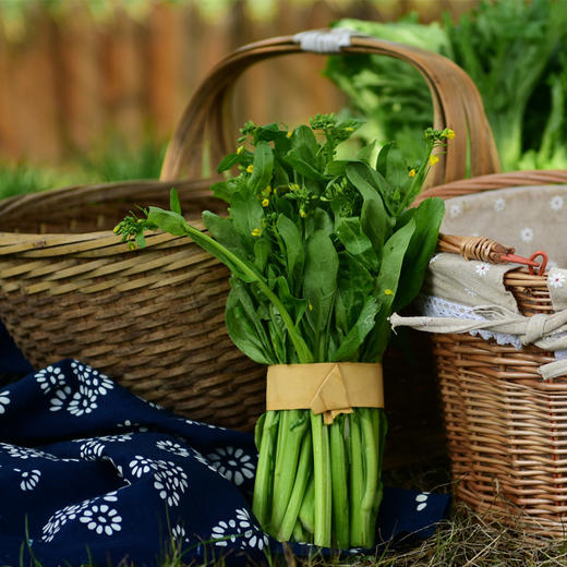 广心菜（400g） 商品图2