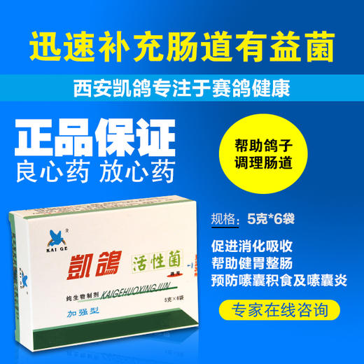 【活性菌】粉5g*6袋，消化道及呼吸道疾病下痢,水便,绿便（凯鸽） 商品图0