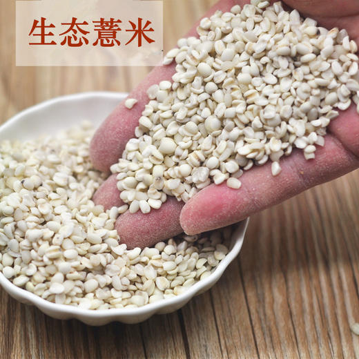 云南墨江生态薏米 半碎糯香薏仁米 半野生方式种植 商品图1