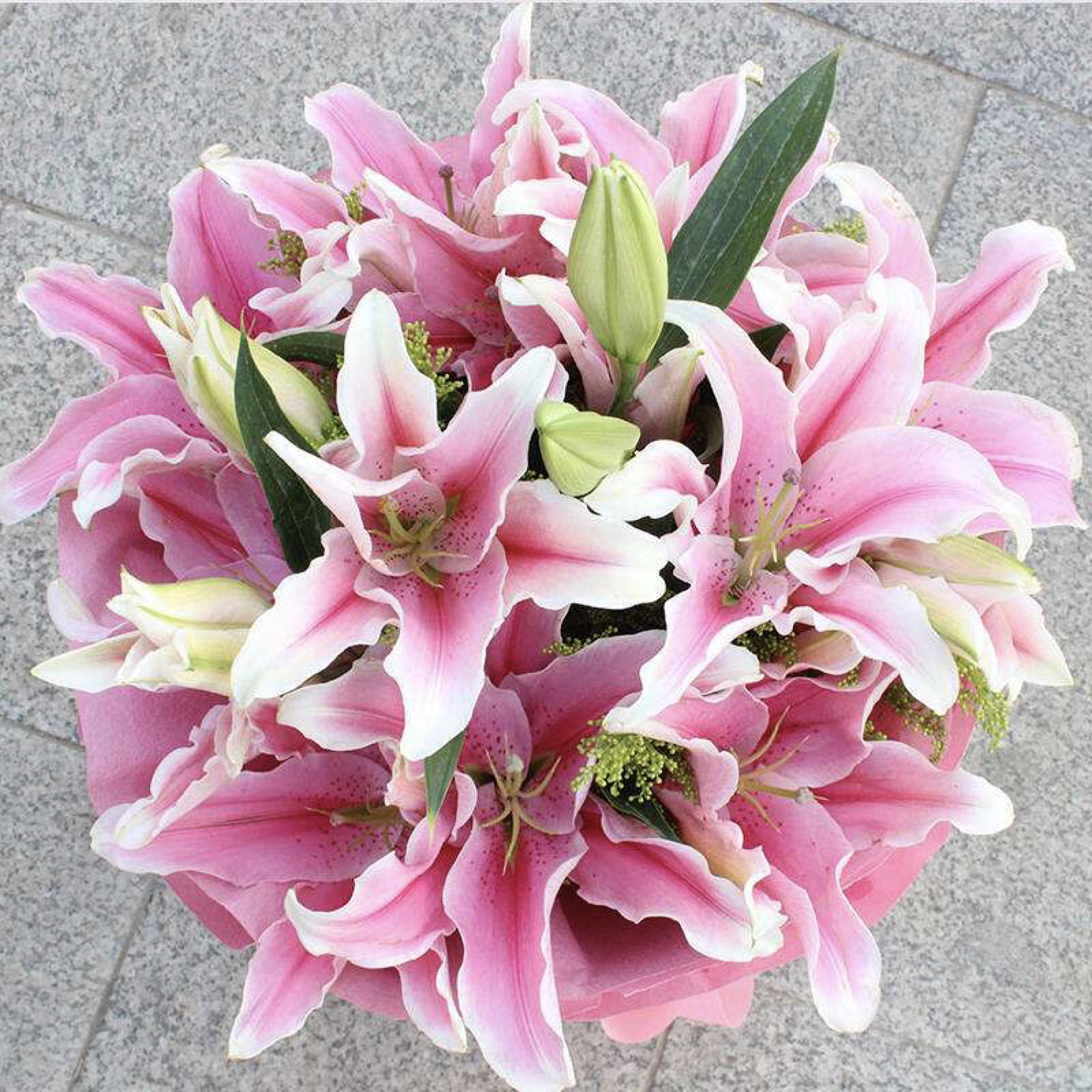 香水百合粉色白色随机纯福利10支一扎多头包邮偏远地区不售后