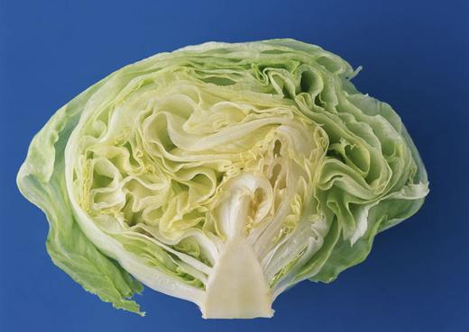 甘蓝（卷心菜） 商品图1