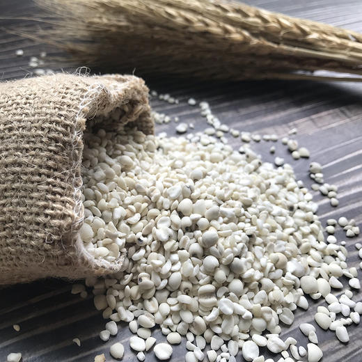 云南墨江生态薏米 半碎糯香薏仁米 半野生方式种植 商品图0