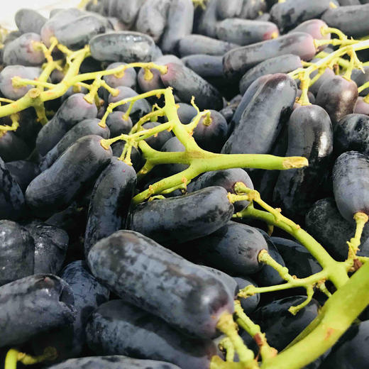 澳洲金手指黑提