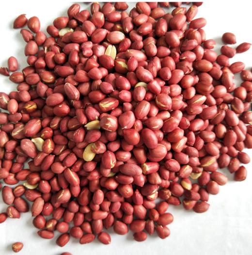 熟带皮花生（5斤装） 商品图0