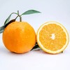 伦晚帝王橙 脐橙 伦晚春橙 不打蜡 水分足 自家果园 现摘现发 5斤/10斤装包邮 商品缩略图2