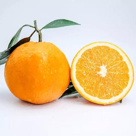 伦晚帝王橙 脐橙 伦晚春橙 不打蜡 水分足 自家果园 现摘现发 5斤/10斤装包邮 商品图2