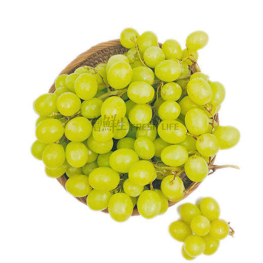 会员168元起智利无籽青提