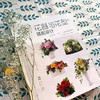 日本花艺名师的人气学堂--花器与花型的搭配设计：永生花、干花、人造花装饰花艺 商品缩略图7
