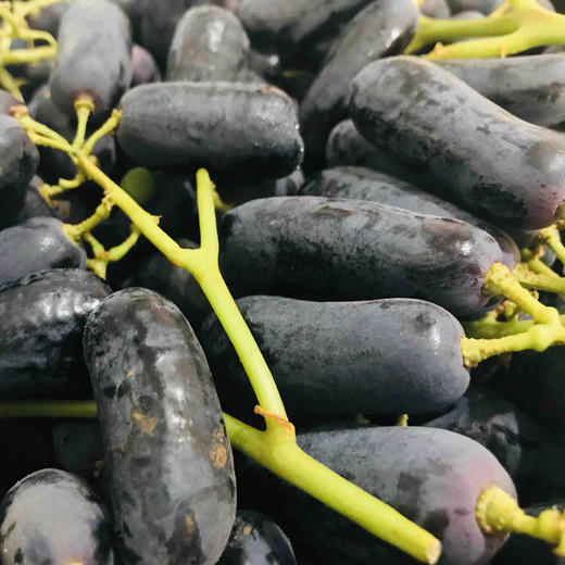 澳洲金手指黑提