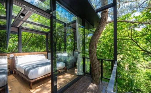 建德淳朴乡村中的摩登野奢民宿——云漫松间 商品图1