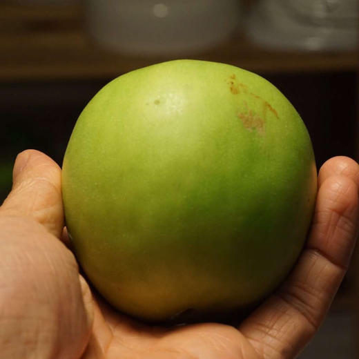 〔产地直发包邮04〕海南苹果青枣 商品图1