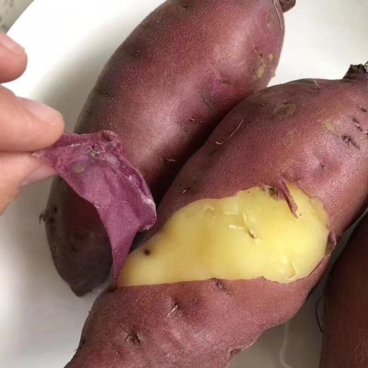 【海南桥沙地瓜】约5斤/箱，海南澄迈桥头富硒地瓜，香甜软糯 商品图1