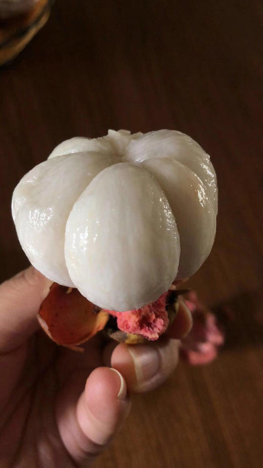 泰国老树山竹(麻竹)5斤约35个装,包邮,真的超好吃!