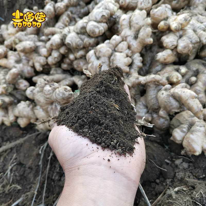 土哆哆高原土壤 原生泥土，可栽种花草