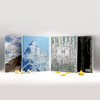 【套装】山+树+海（2012年意大利安徒生奖年度图书、*佳科普书籍 绘画艺术与诗文创作的完美结合！） 商品缩略图2