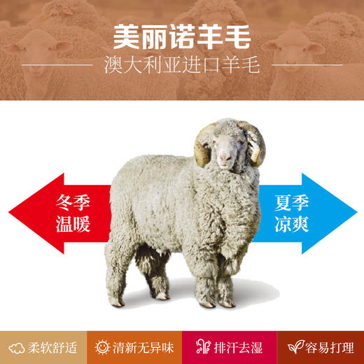 双11特惠ZEALWOOD赛乐THULE极北之地 美丽诺羊毛运动袜户外袜速干加厚防臭功能袜 商品图12