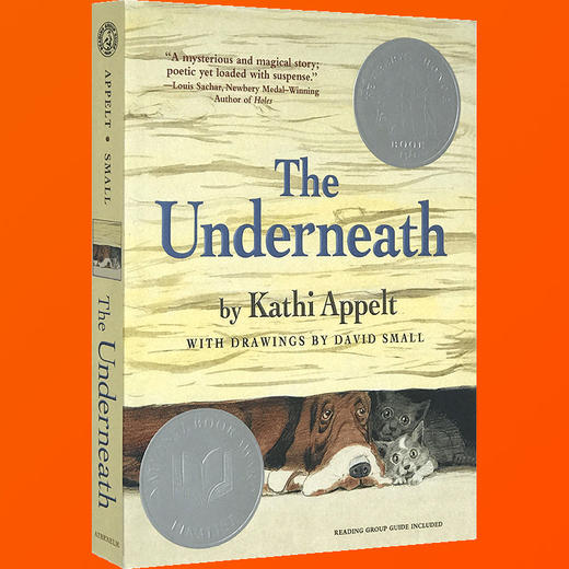 英文原版 木屋下的守护者 The Underneath 儿童文学书 凯西·阿贝特 纽伯瑞奖小说 真相临界点 英文版进口书 商品图1