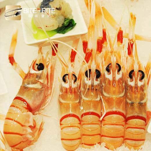 【欧味食尚高端食材】南极深海螯虾 商品图1