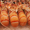 【欧味食尚高端食材】南极深海螯虾 商品缩略图2