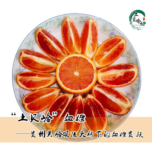 【土贝岭血橙】10斤装 全国包邮（五区不发货） 商品图0