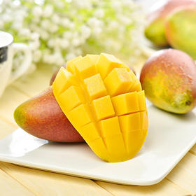 【好吃到爆】海南三亚贵妃芒果 新鲜芒果5斤包邮 中大果 皮薄肉多汁甜