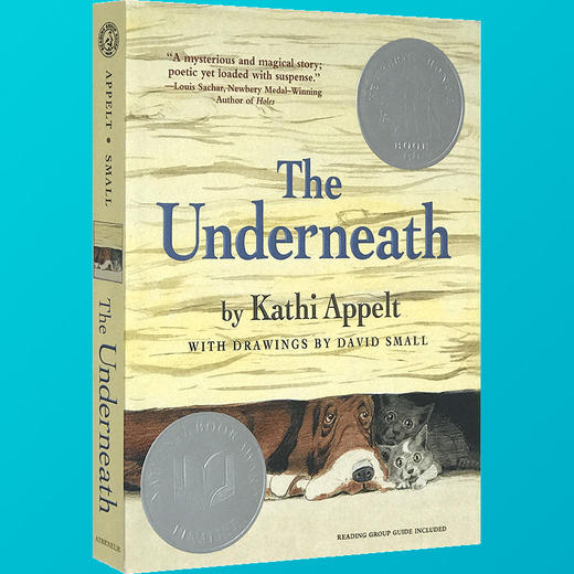 英文原版 木屋下的守护者 The Underneath 儿童文学书 凯西·阿贝特 纽伯瑞奖小说 真相临界点 英文版进口书 商品图2