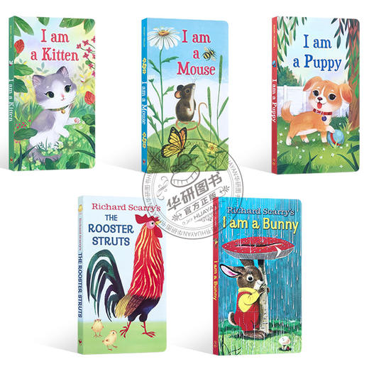英文原版绘本 I am a Bunny Kitten Mouse Puppy Rooster Struts 我是一只兔子5册 幼儿启蒙认知 常青藤爸爸书单 Richard Scarry 商品图1
