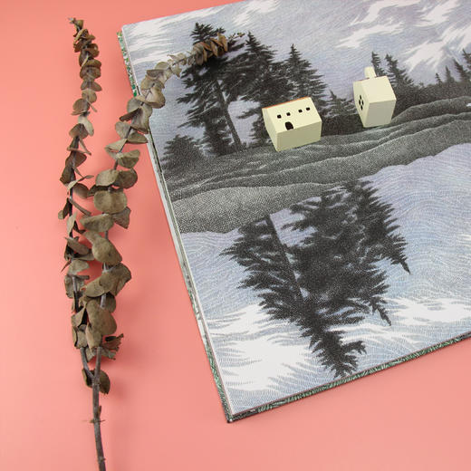 【套装】山+树+海（2012年意大利安徒生奖年度图书、*佳科普书籍 绘画艺术与诗文创作的完美结合！） 商品图5