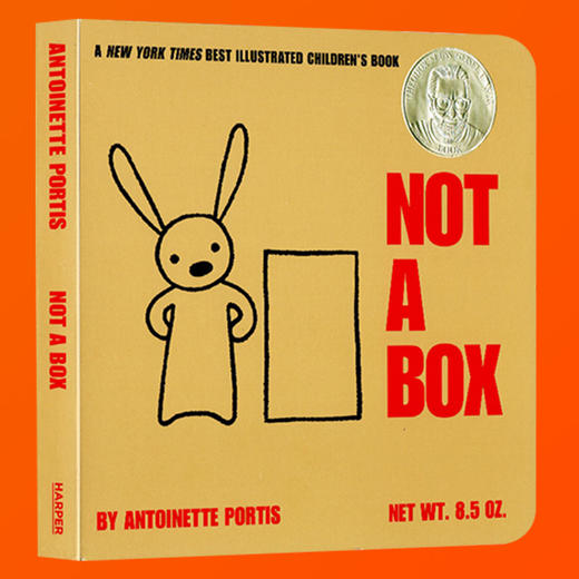 创意绘本 Not a Box 这不是个箱子 纸板书 苏斯奖 吴敏兰绘本123 发挥创意 激发想象力 英文原版入门启蒙纸板书 正版 商品图3