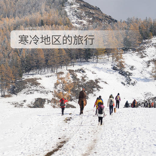 双11特惠ZEALWOOD赛乐THULE极北之地 美丽诺羊毛运动袜户外袜速干加厚防臭功能袜 商品图3