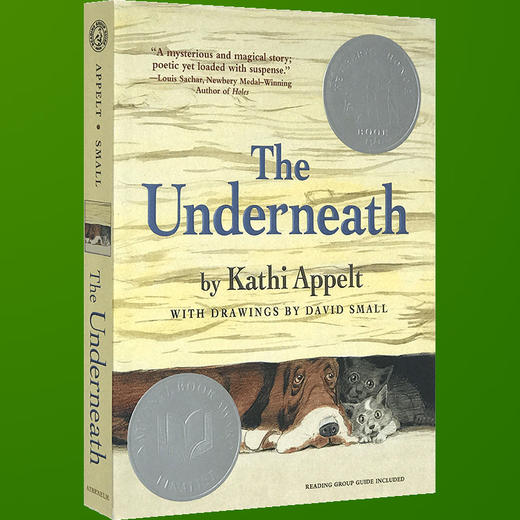 英文原版 木屋下的守护者 The Underneath 儿童文学书 凯西·阿贝特 纽伯瑞奖小说 真相临界点 英文版进口书 商品图3