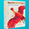 哈利波特魔法史 英文原版 Harry Potter A History of Magic 精装展览之书JK罗琳魔法世界官方手册 英文版英语书 商品缩略图1