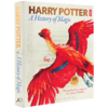 哈利波特魔法史 英文原版 Harry Potter A History of Magic 精装展览之书JK罗琳魔法世界官方手册 英文版英语书 商品缩略图4