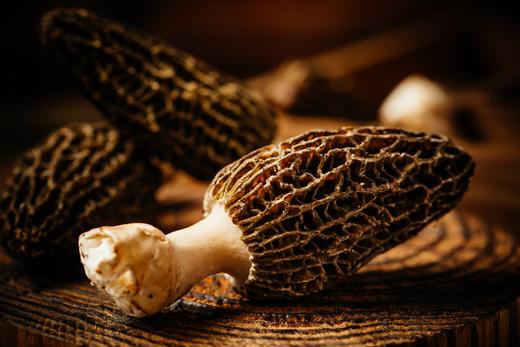 云南5cm新鲜羊肚菌500克  素中之荤  顺丰包邮 商品图1