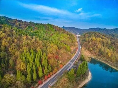 （永久下架）2019我为汽车种棵树 千岛湖站（3月9日） 商品图0