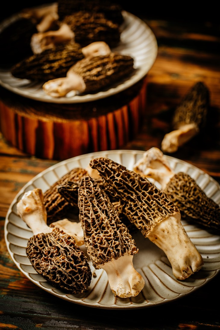 云南7cm新鲜羊肚菌 素中之荤 顺丰包邮