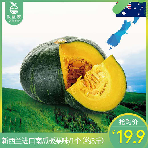 新西兰进口南瓜板栗味/1个（约3斤） 商品图0
