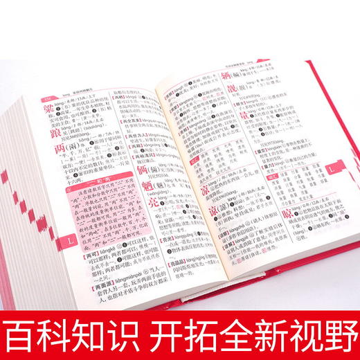【开心图书】崇文书局新编现代汉语词典 商品图3