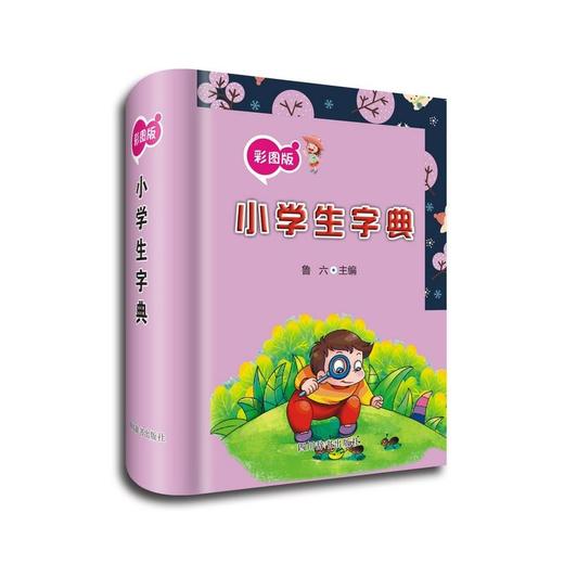 彩图版小学生字典 商品图0
