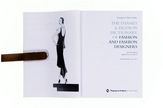 The Thames & Hudson Dictionary of Fashion and Fashion Designers (World of Art)  时装与时装设计师字典 商品图2