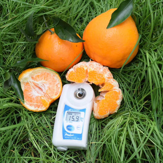 排单发货 不接急单【下单立减10元】蒲江春见耙耙柑高山果      5/8斤装   （酸甜口感  介意慎拍） 商品图7