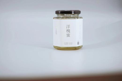 甘见洋槐蜜 商品图0