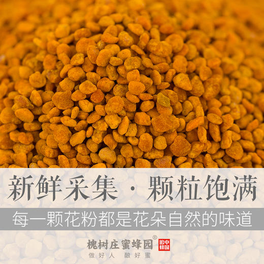 井冈山高山茶花粉210g  颗粒饱满金黄 独具茶香 商品图1