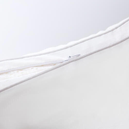 （永久下架）美颜玻尿酸乳胶枕（买就送玻尿酸眼罩） 商品图2