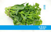 菜薹 商品缩略图0