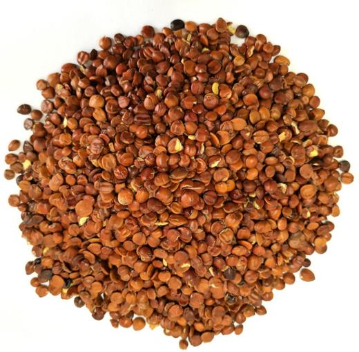 理枣仁（2斤装） 商品图0