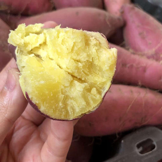 日本高系14号原种！桥头板粟地瓜 5斤红薯装 商品图6